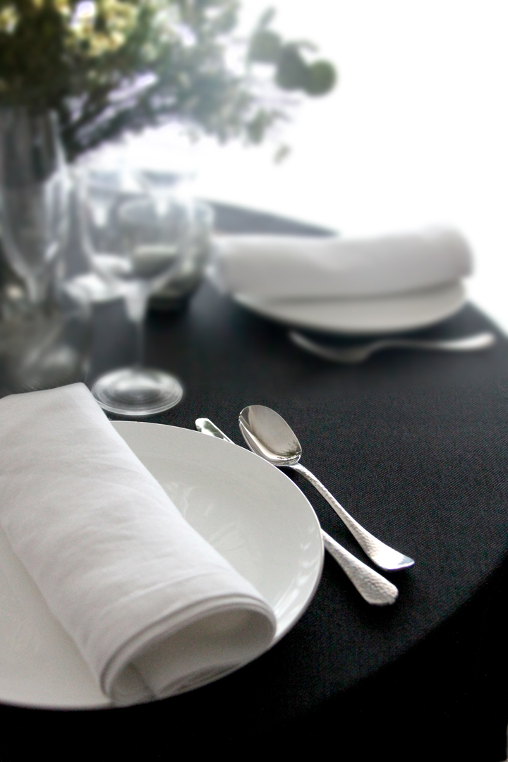 Alquiler mantelería lisa, éxito de eventos, reuniones, presentaciones, cenas, buffet, cóctel, cocktel, aniversarios, fiestas, celebraciones, degustaciones, cenas de gala, eventos de empresa, eventos corporativos, bodas de plata,, desayunos, brunch, show cooking, festejos, 