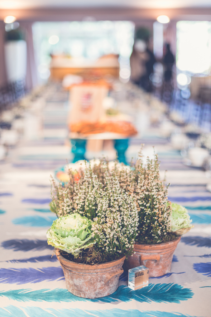alquiler de manteles estampado de plumas, lineas y rayas éxito de eventos, bodas, reuniones, presentaciones, cenas, comidas, buffet, cóctel, cocktel, cumpleaños, aniversarios, fiestas, celebraciones, comuniones, degustaciones, cenas de gala, eventos de empresa, eventos corporativos, bodas de plata, bautizos, desayunos, brunch, show cooking, festejos, 